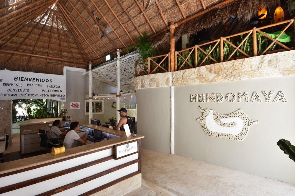 Hotel Beach Energy 5Th Av Playa del Carmen Exteriör bild