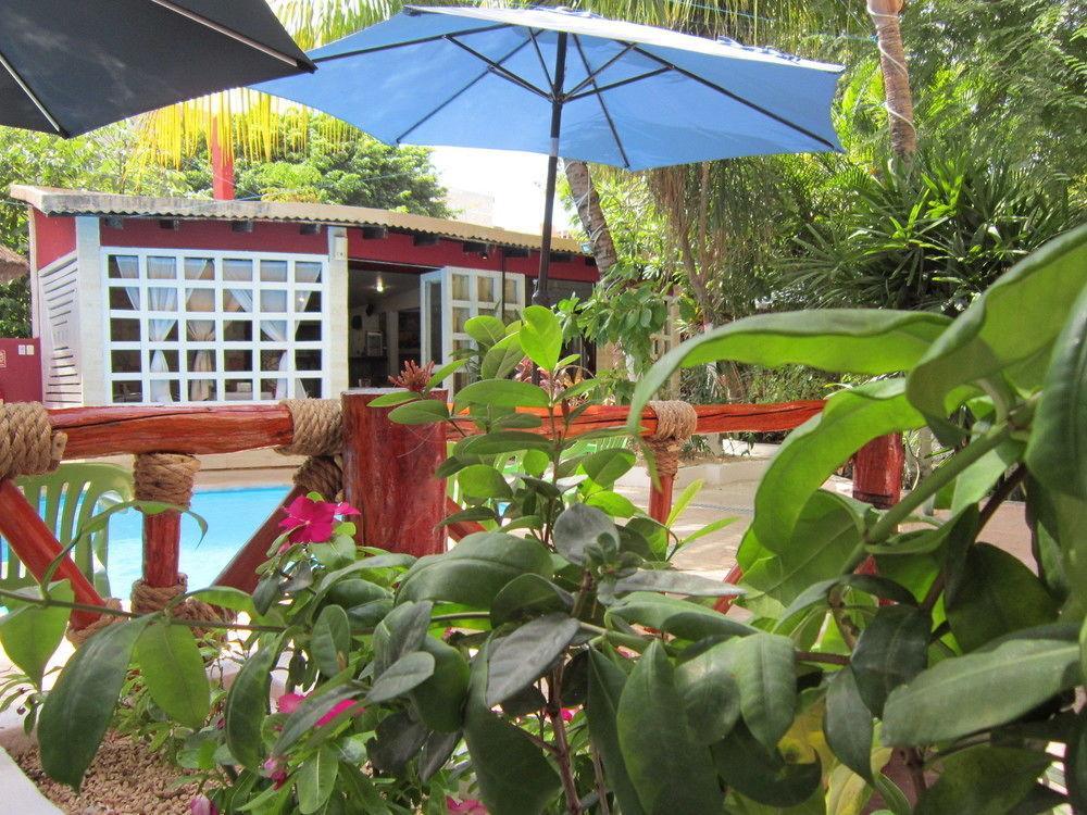 Hotel Beach Energy 5Th Av Playa del Carmen Exteriör bild